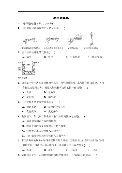 华师版七年级科学下册 期中测试卷(含答案)