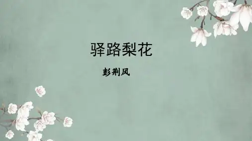 第15课《驿路梨花》课件(共29张PPT) 统编版语文七年级下册