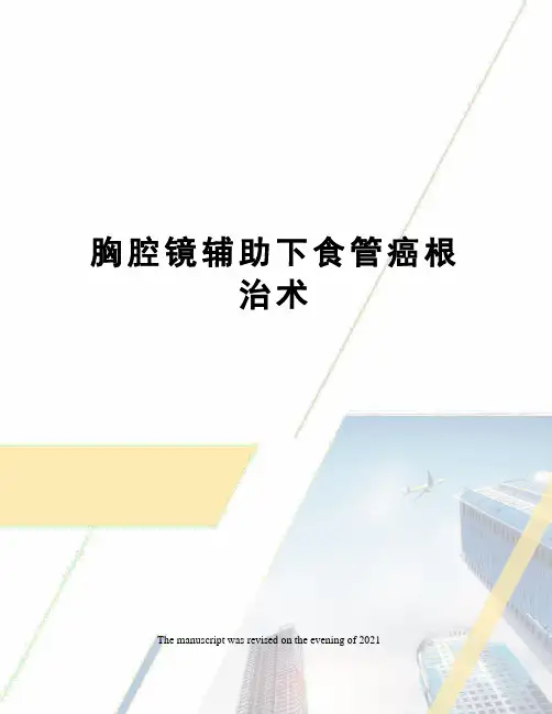 胸腔镜辅助下食管癌根治术