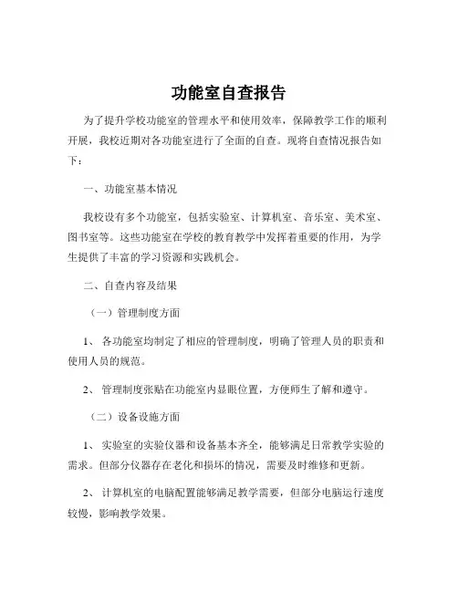 功能室自查报告