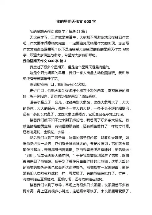 我的星期天作文600字