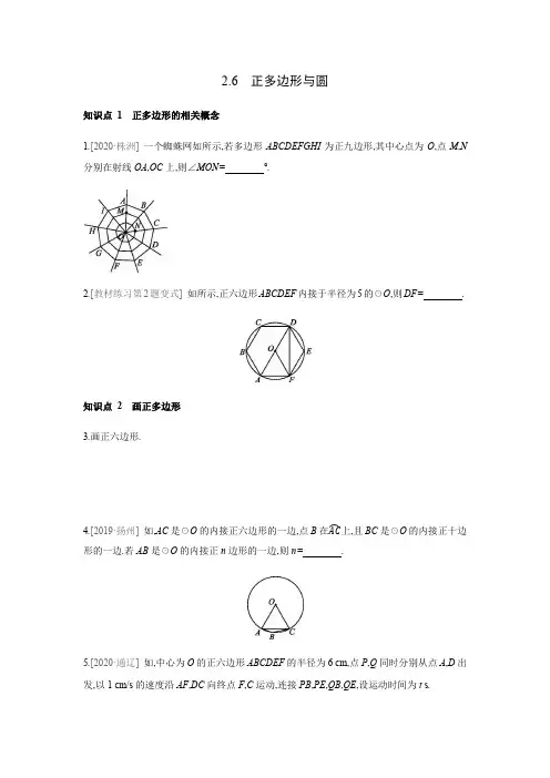 2.6正多边形与圆课时作业-2021-2022学年苏科版数学九年级上册(含答案)