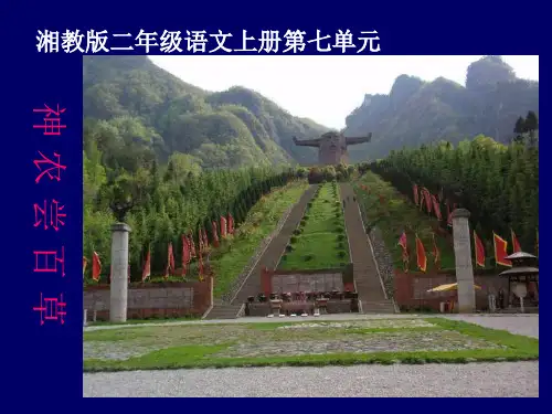 17《神农尝百草》精品PPT课件