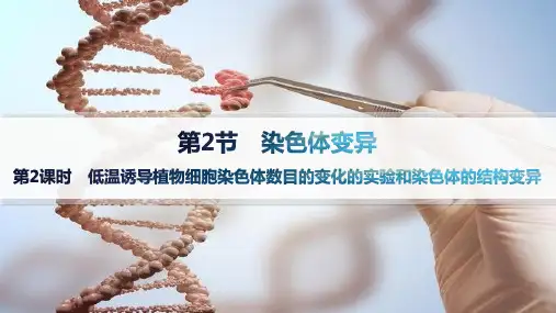 人教版高中生物学必修2课件 第5章第2课时 低温诱导植物细胞染色体数目的变化的实验和染色体的结构变异