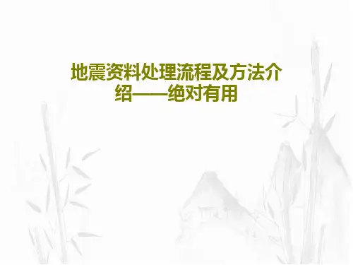 地震资料处理流程及方法介绍——绝对有用共74页