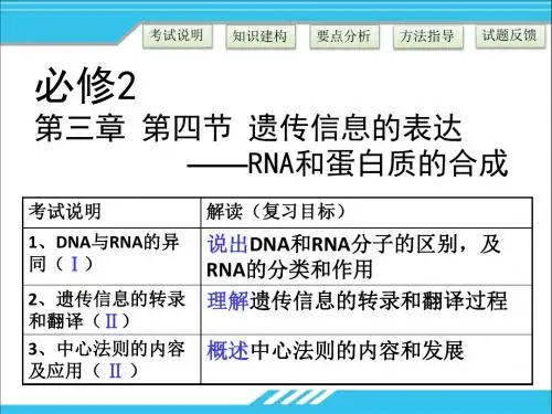 一轮复习：遗传信息的表达