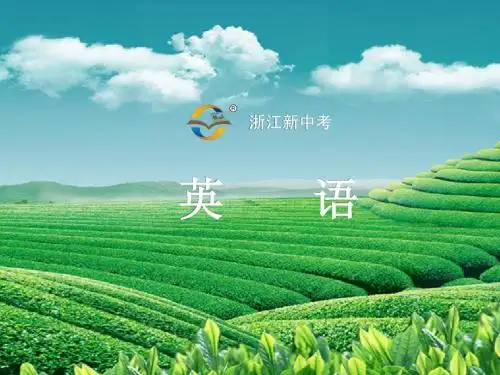 2014年中考英语(人教版)总复习：第二篇 语法精析·强化训练 第三讲 代词(含浙江省三年考情分析)