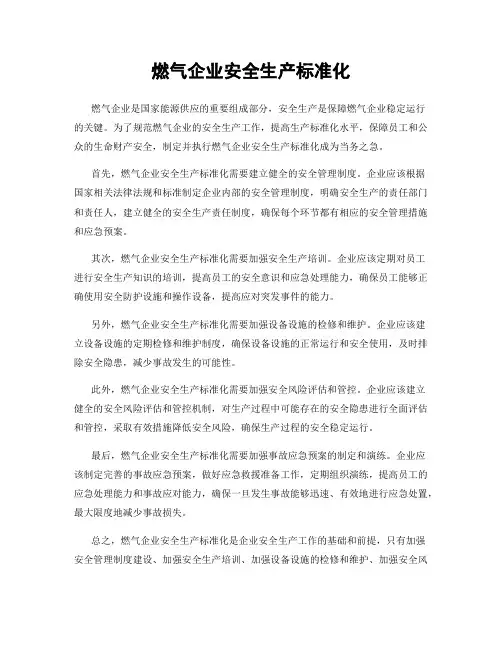 燃气企业安全生产标准化