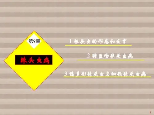 动物寄生虫病学第9章 棘头虫病