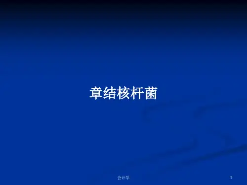 章结核杆菌PPT学习教案