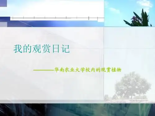 我的观赏日记1