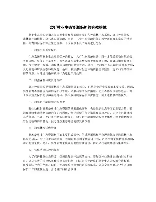 试析林业生态资源保护的有效措施