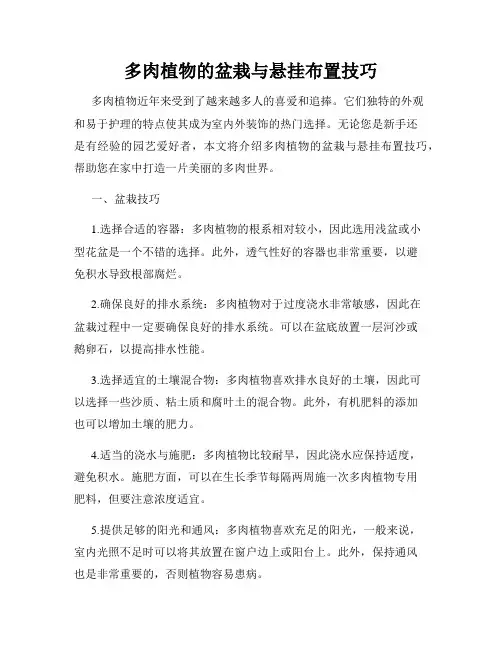 多肉植物的盆栽与悬挂布置技巧