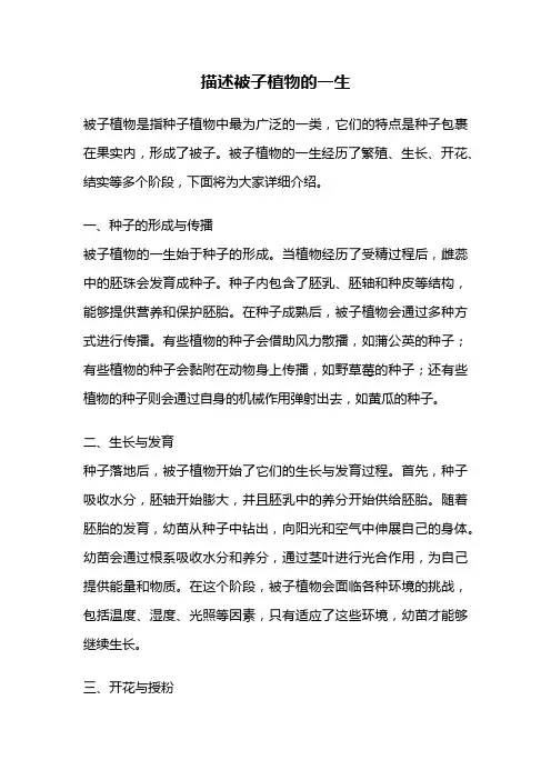 描述被子植物的一生