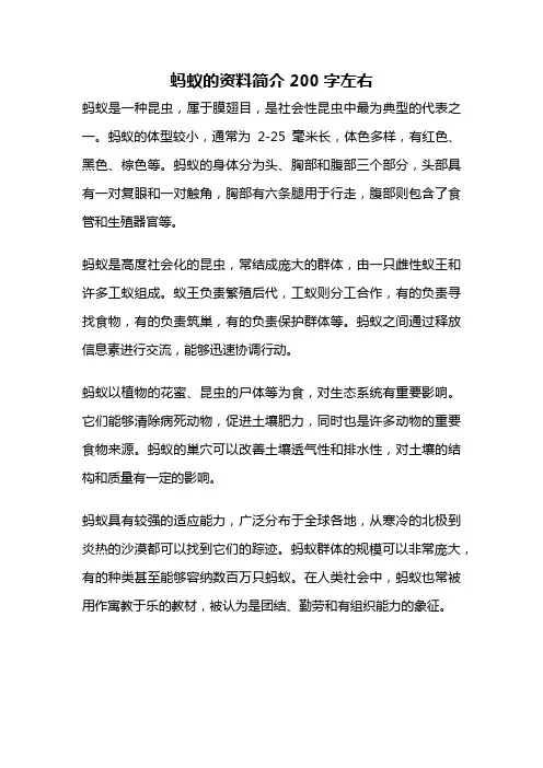蚂蚁的资料简介200字左右