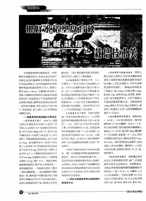 把好水稻塑盘育秧机械栽插的栽培技术关
