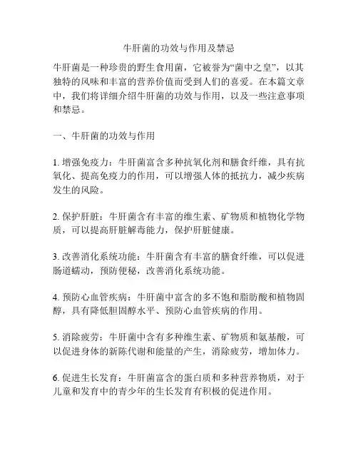 牛肝菌的功效与作用及禁忌