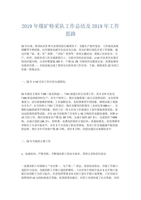 工作总结-2019年煤矿特采队工作总结及2019年工作思路 精品