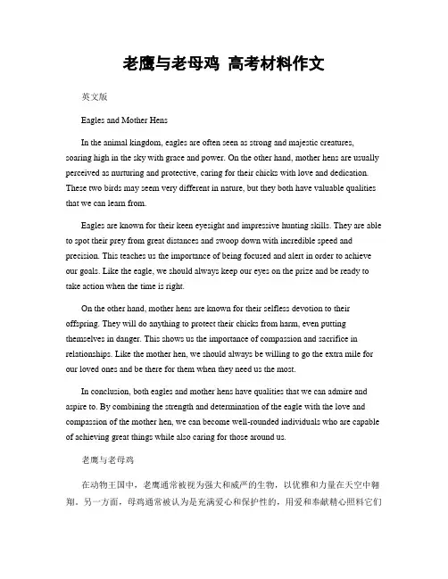 老鹰与老母鸡 高考材料作文