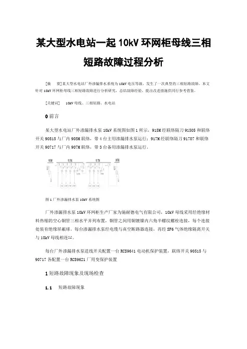 某大型水电站一起10kV环网柜母线三相短路故障过程分析