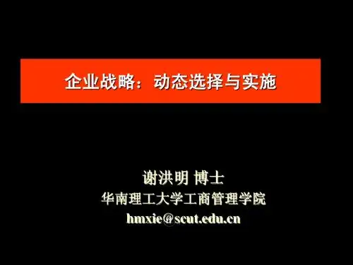 企业战略：动态选择与实施