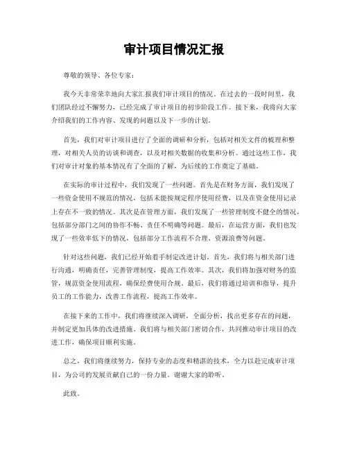 审计项目情况汇报
