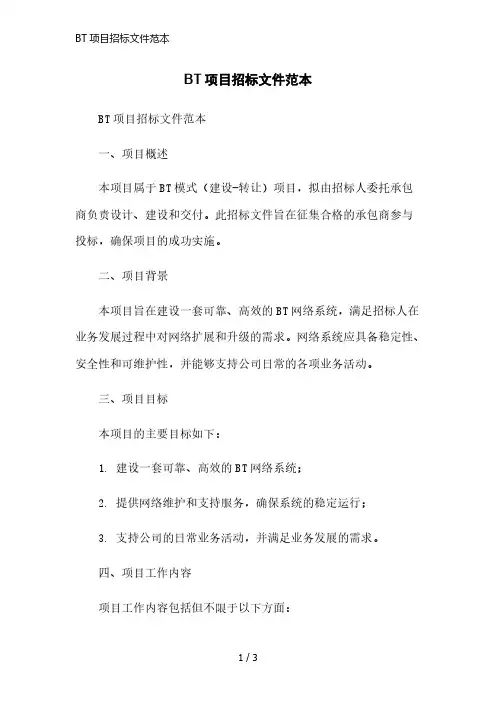 BT项目招标文件范本精简版