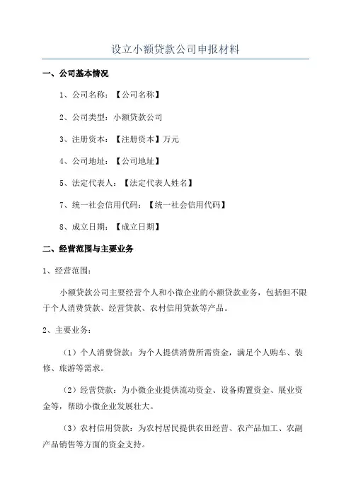 设立小额贷款公司申报材料