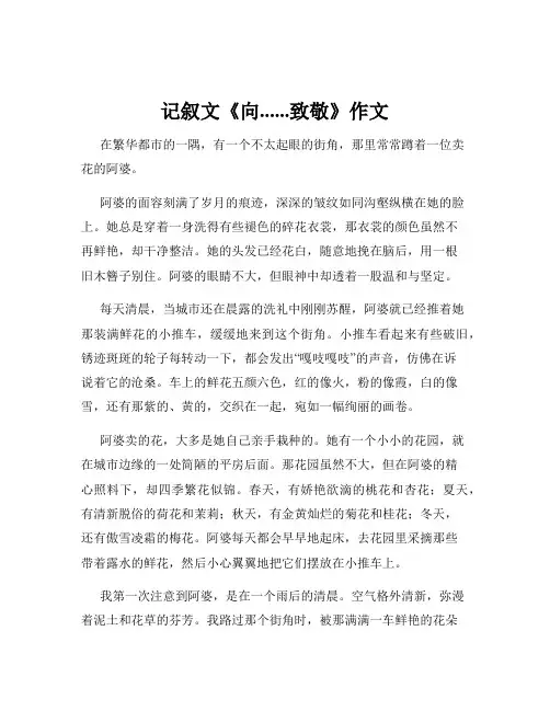 记叙文《向......致敬》作文