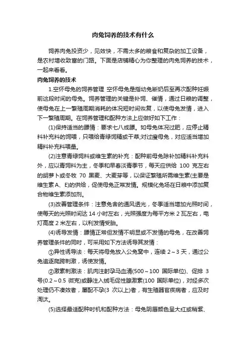 肉兔饲养的技术有什么