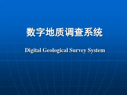 数字地质调查系统DGS