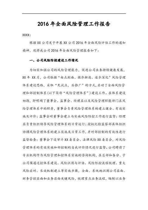 2016年全面风险管理系统工作报告材料