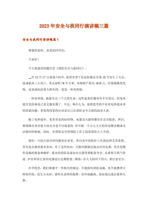 2023年安全与我同行演讲稿三篇_2