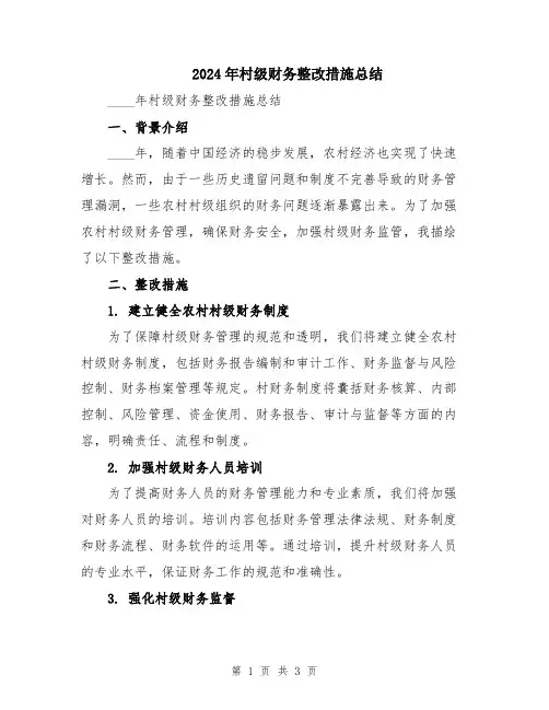 2024年村级财务整改措施总结