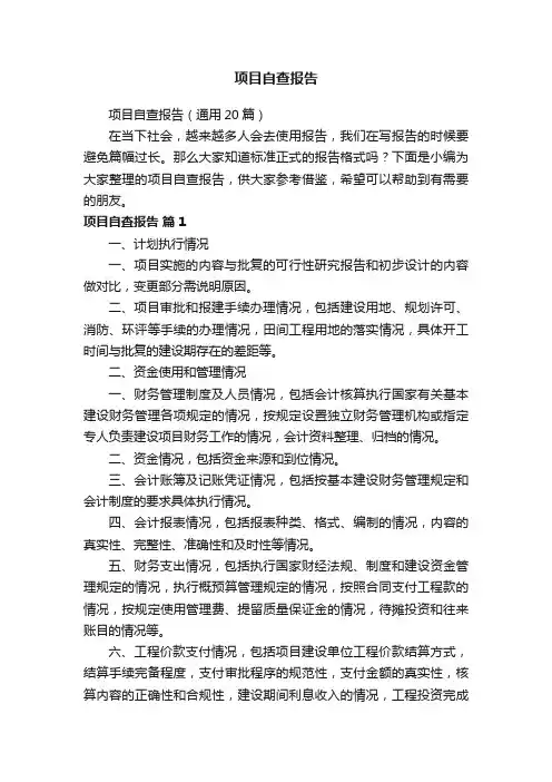 项目自查报告（通用20篇）