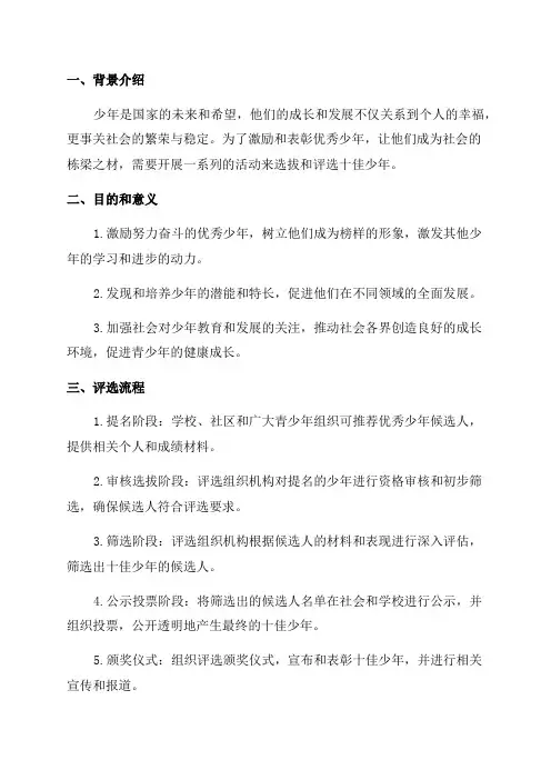 十佳少年评选方案