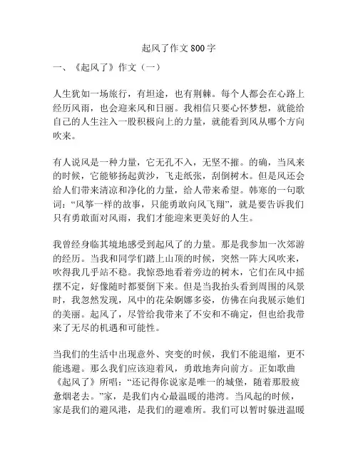 起风了作文800字