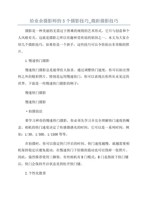 给业余摄影师的5个摄影技巧_微距摄影技巧