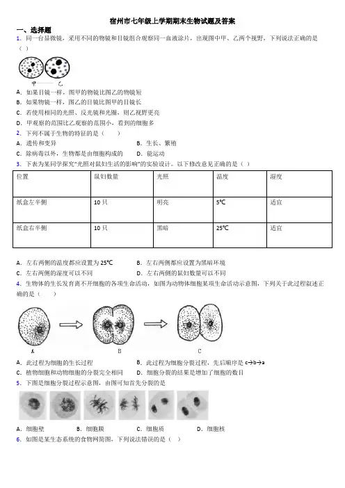 宿州市七年级上学期期末生物试题及答案