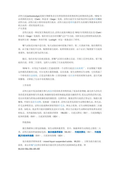 活性污泥简介