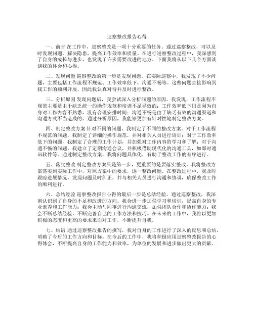 巡察整改报告心得