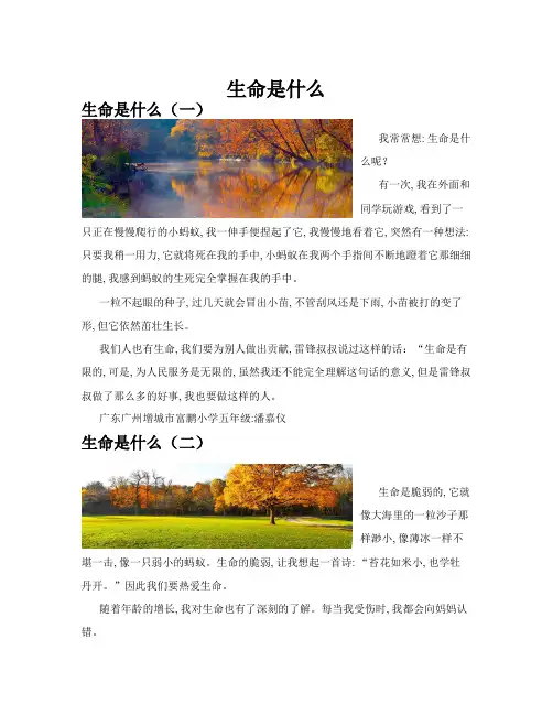 生命是什么(共10篇)
