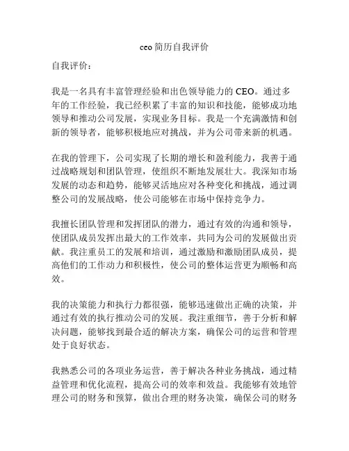ceo简历自我评价