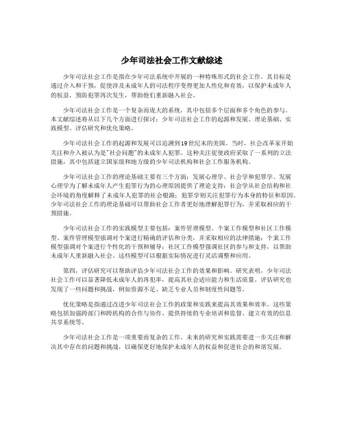 少年司法社会工作文献综述