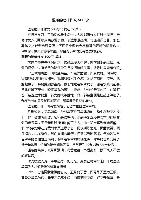 温暖的陪伴作文500字（精选29篇）