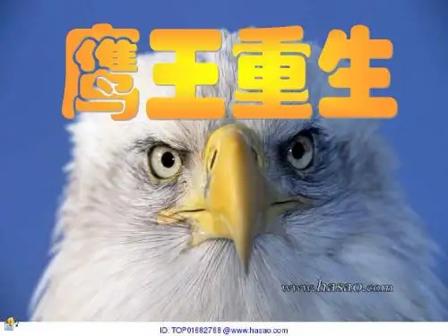 鹰王重生PPT图片