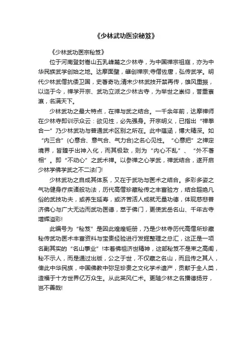 《少林武功医宗秘笈》
