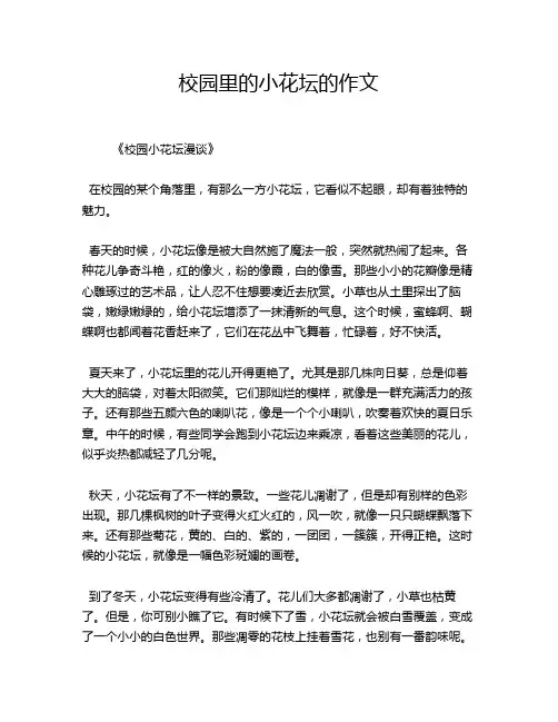 校园里的小花坛的作文