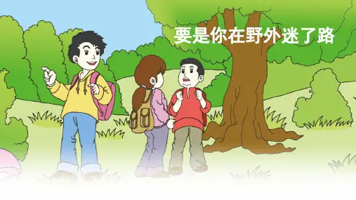 部编版语文二年级下册《要是你在野外迷了路》精品ppt课件
