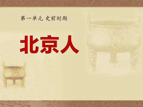 华师大版历史七年级上册第1课《北京人》ppt课件(共29张PPT)
